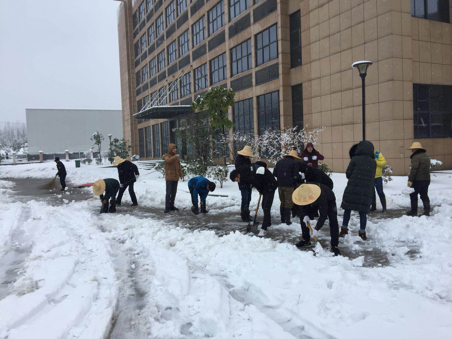 瑞雪兆丰年 劳动展风采---公司组织员工开展扫雪活动